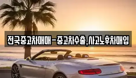 서울특별시 종로구 권농동 중고차매입 전문 전국중고차매매-중고차수출,사고노후차매입