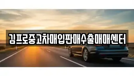 서울특별시 종로구 수송동 중고차매입 전문 김프로중고차매입판매수출매매센터