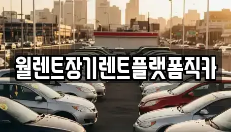 서울특별시 종로구 안국동 장기렌트카 전문 월렌트장기렌트플랫폼직카