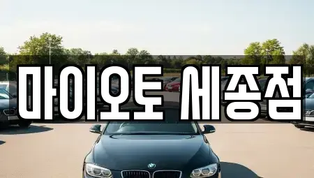 세종 세종동 렌트카 전문 마이오토 세종점