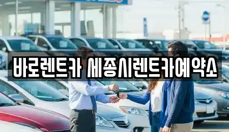 세종 세종동 렌트카 전문 바로렌트카 세종시렌트카예약소