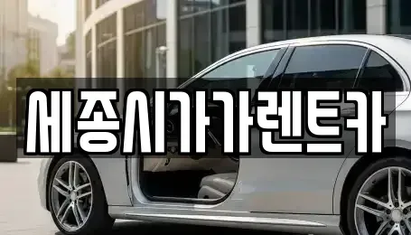 세종 세종동 렌트카 전문 세종시가가렌트카