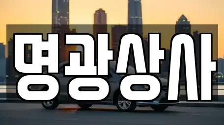 세종 세종동 중고차 전문 명광상사