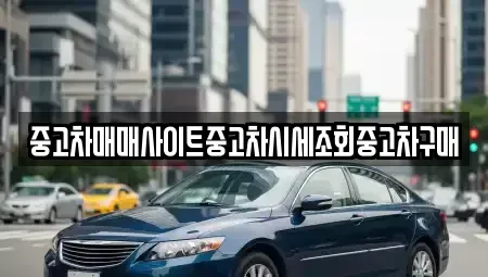 세종 세종동 중고차 전문 중고차매매사이트중고차시세조회중고차구매