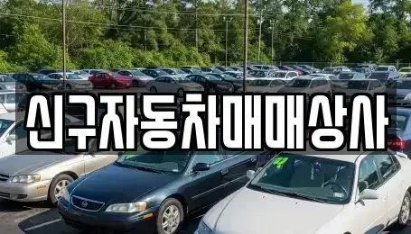 울산광역시 동구 주전동 중고차,렌트카,중고차매입,중고차매매,장기렌트카,단기렌트카