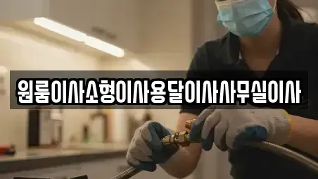 원룸이사소형이사용달이사사무실이사