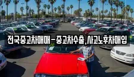 인천 서구 원당동 중고차매입 전문 전국중고차매매-중고차수출,사고노후차매입