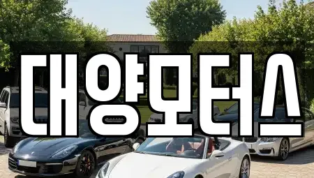 전라남도 고흥군 점암면 중고차 전문 대양모터스