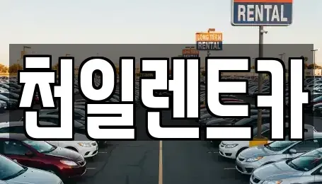 전북 익산시 신흥동 렌트카 전문 천일렌트카
