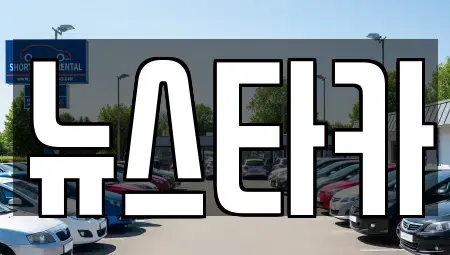 전북 중고차매매 전문 뉴스타카