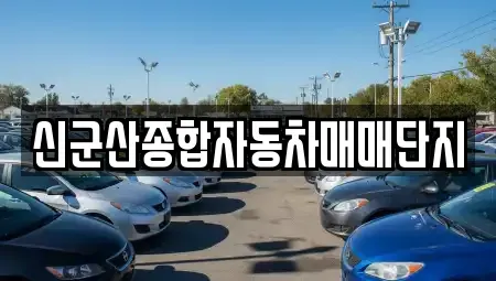 전북 중고차매매 전문 신군산종합자동차매매단지