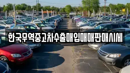 전북특별자치도 순창군 팔덕면 중고차매입 전문 한국무역중고차수출매입매매판매시세