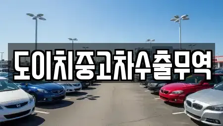 전북특별자치도 전주시 완산구 다가동1가 중고차 전문 도이치중고차수출무역