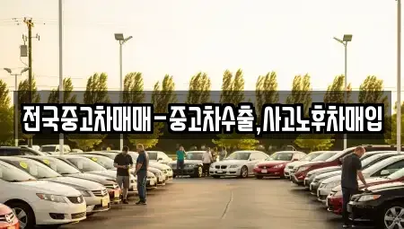 전북특별자치도 전주시 완산구 다가동1가 중고차매입 전문 전국중고차매매-중고차수출,사고노후차매입