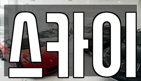 충남 서산시 잠홍동 렌트카 전문 스카이