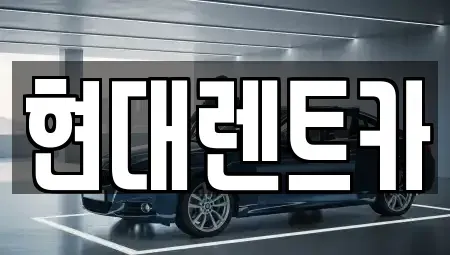 충남 아산시 권곡동 렌트카 전문 현대렌트카