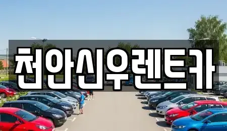 충남 아산시 음봉면 렌트카 전문 천안신우렌트카