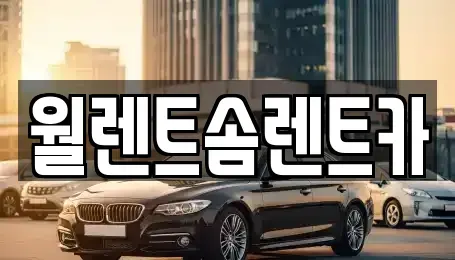 충남 천안시 서북구 쌍용동 렌트카 전문 월렌트솜렌트카