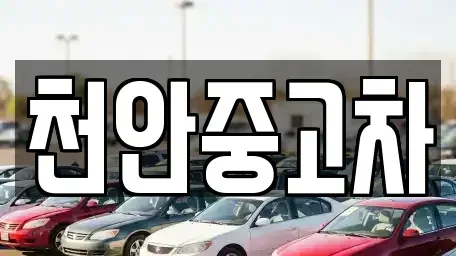 충남 천안시 서북구 쌍용동 중고차매매 전문 천안중고차