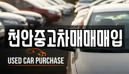충남 천안시 서북구 쌍용동 중고차매입 전문 천안중고차매매매입