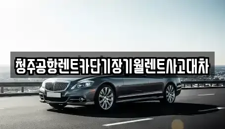 충북 청주시 흥덕구 송정동 렌트카 전문 청주공항렌트카단기장기월렌트사고대차