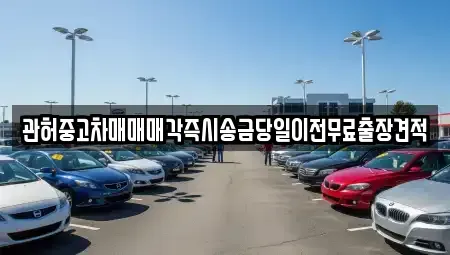 충북 청주시 흥덕구 송정동 중고차 전문 관허중고차매매매각즉시송금당일이전무료출장견적