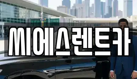 충청남도 천안시 동남구 삼룡동 렌트카 전문 씨에스렌트카