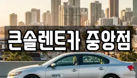 충청남도 천안시 동남구 삼룡동 렌트카 전문 큰솔렌트카 중앙점