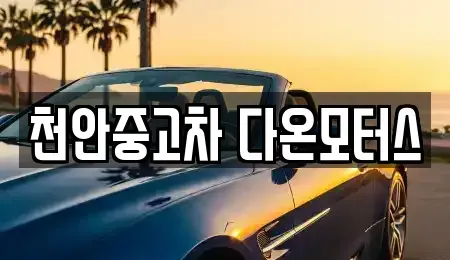 충청남도 천안시 동남구 삼룡동 중고차매매 전문 천안중고차 다온모터스