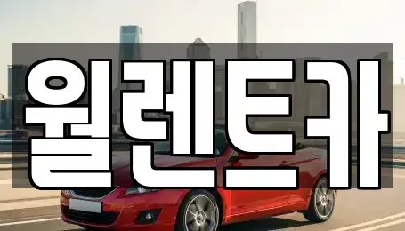 충청남도 천안시 서북구 직산읍 렌트카 전문 월렌트카