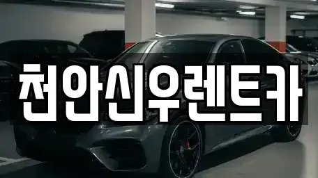 충청남도 천안시 서북구 직산읍 렌트카 전문 천안신우렌트카