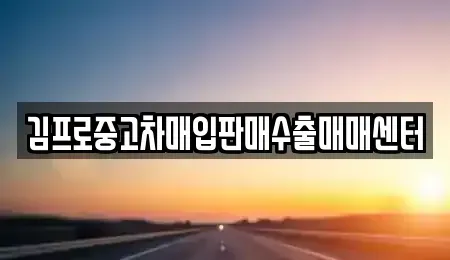 충청북도 옥천군 옥천읍 중고차매입 전문 김프로중고차매입판매수출매매센터