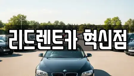 충청북도 음성군 맹동면 렌트카 전문 리드렌트카 혁신점