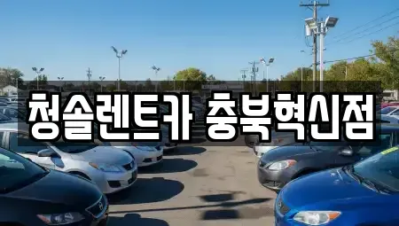 충청북도 음성군 맹동면 렌트카 전문 청솔렌트카 충북혁신점